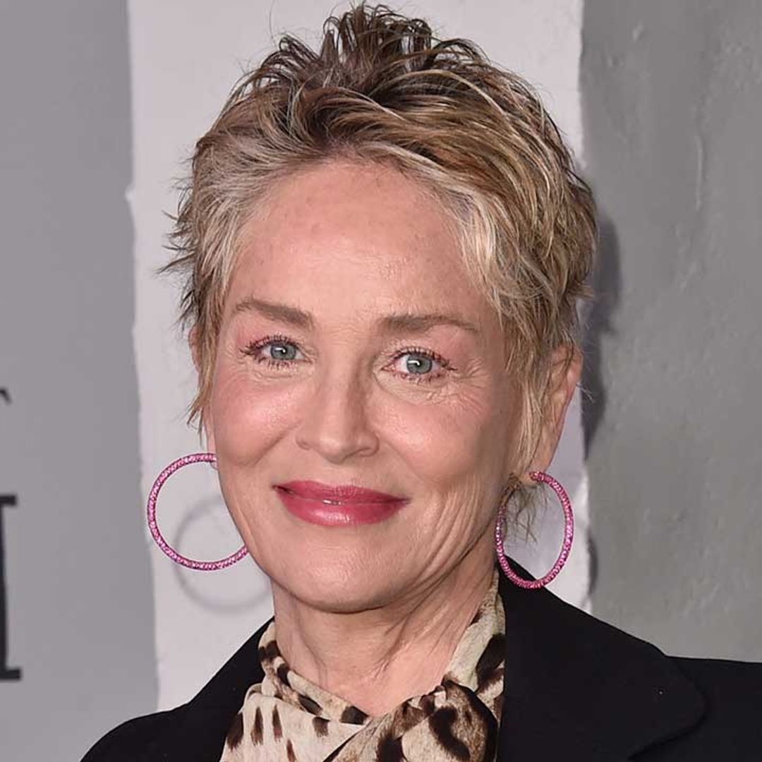 Sharon Stone commands attention in daring sheer dress