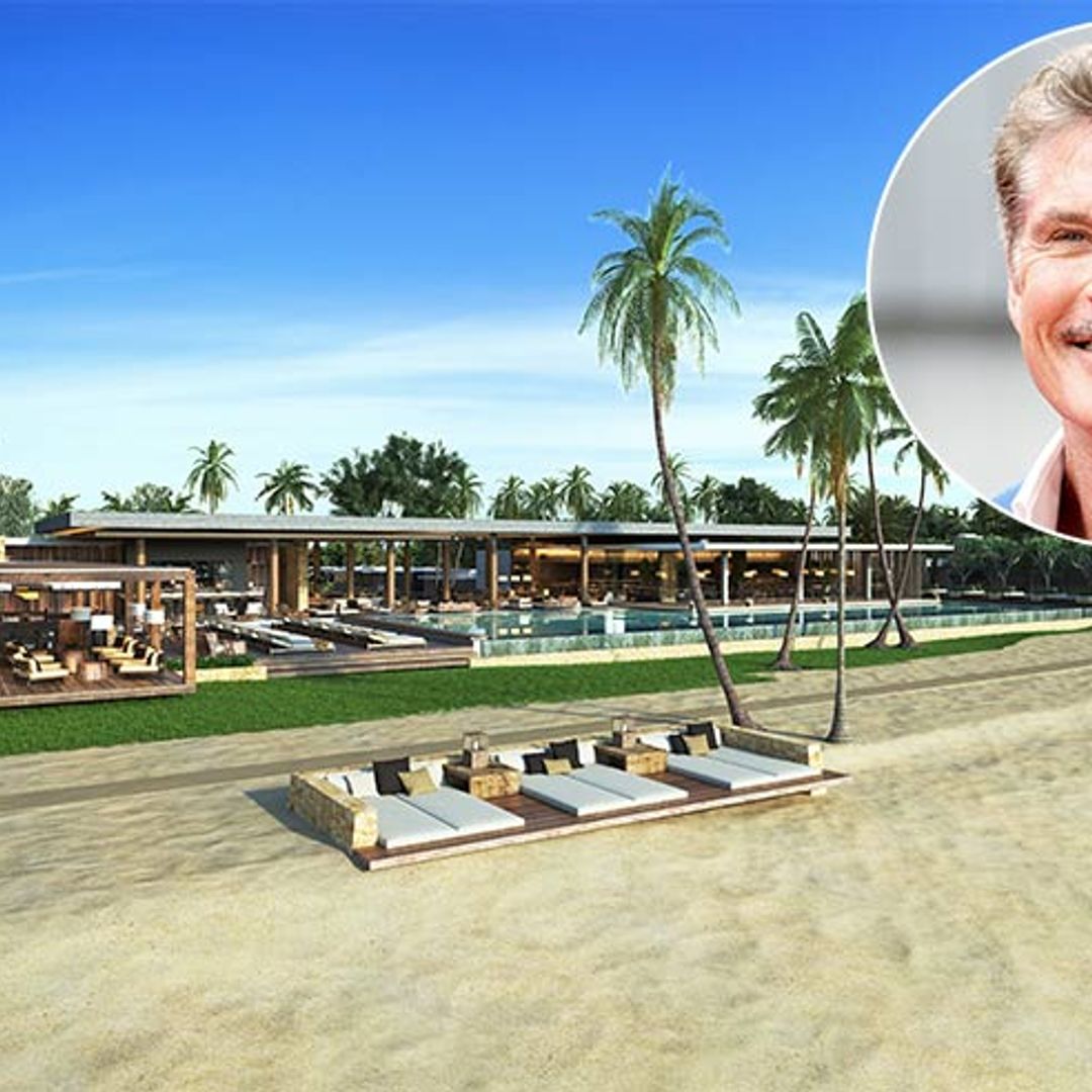 You can be neighbours with David Hasselhoff on this pristine Indonesian island