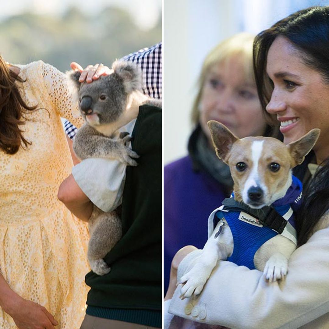 17 photos of the royals' sweetest and funniest moments with dogs, koalas and more animals