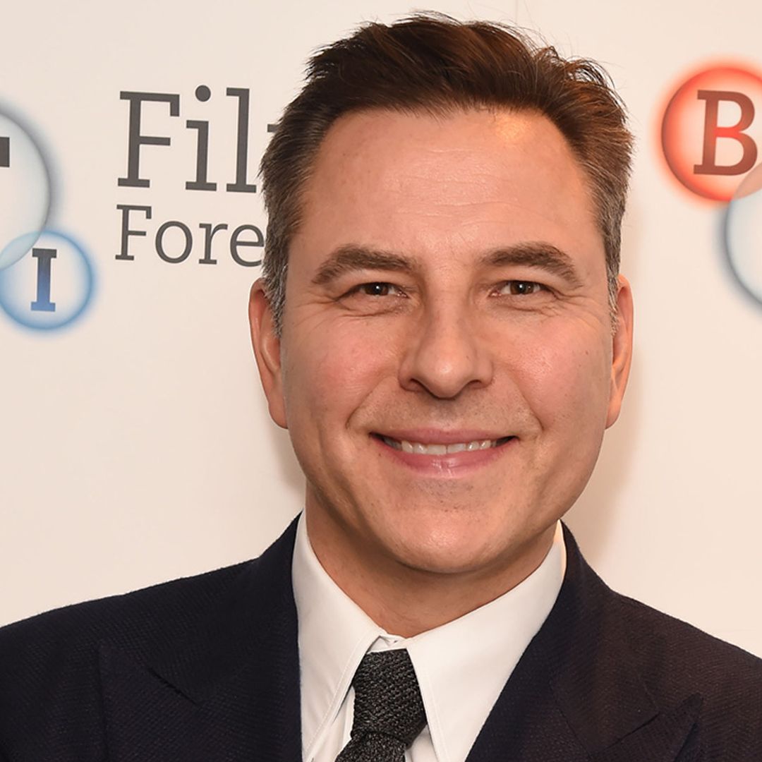 David Walliams' fans think he looks so much like his 'love'