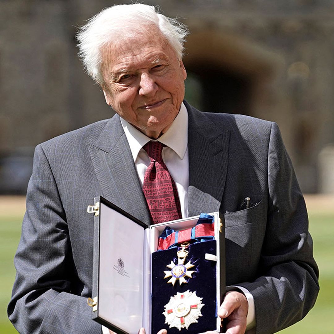 Prince Charles awards Sir David Attenborough his second knighthood at Windsor Castle