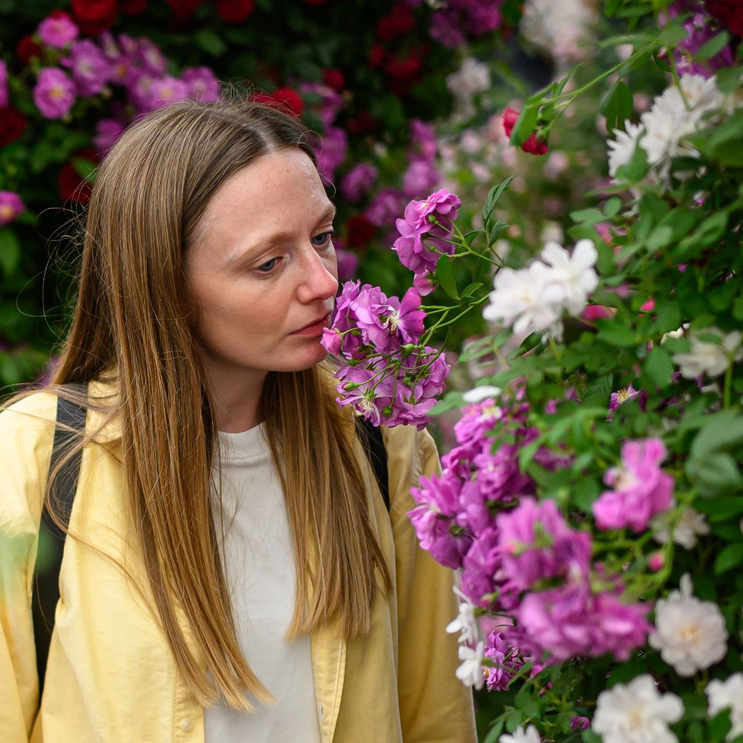 TikTok approved trends from the Chelsea Flower Show to reinvent your garden