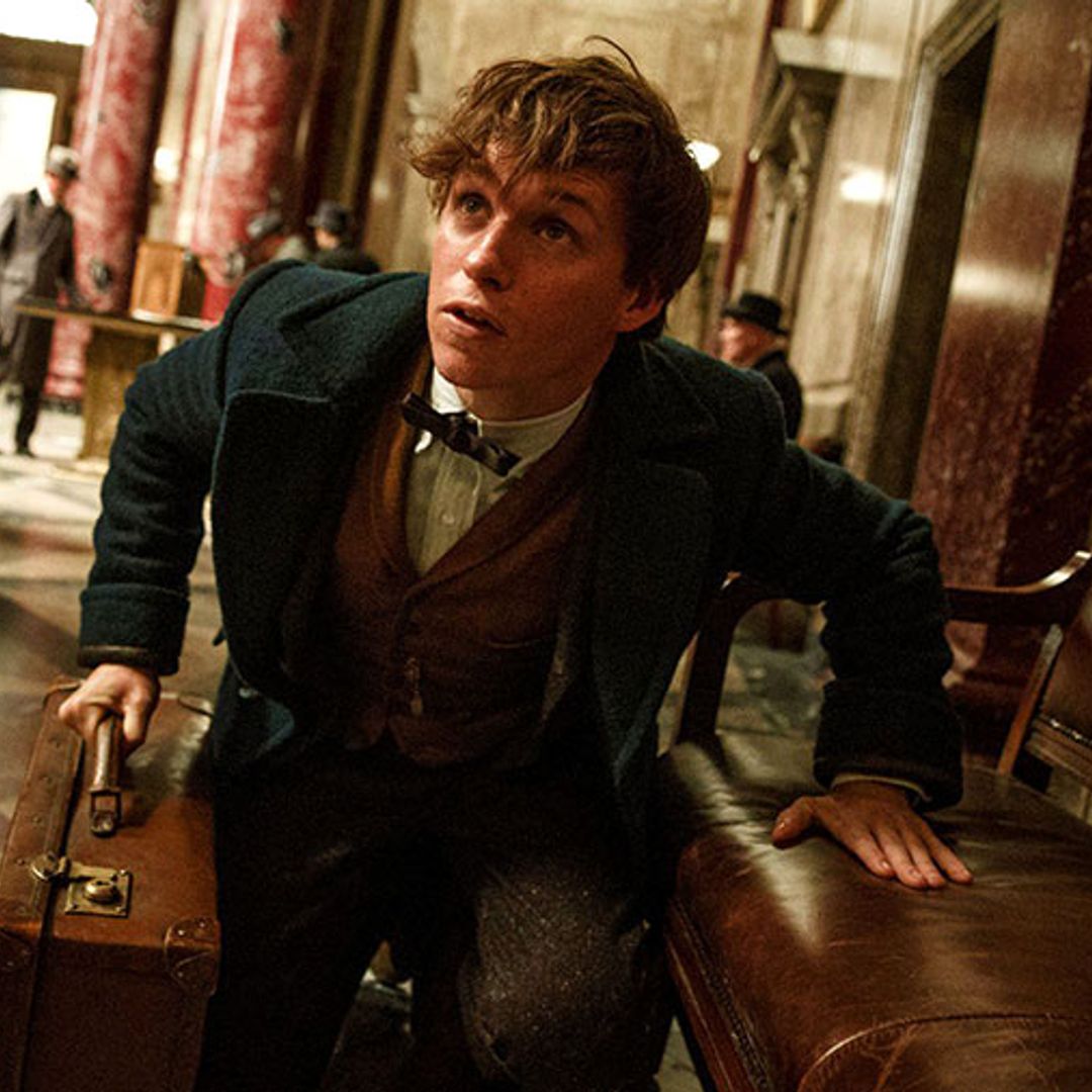 JK Rowling drops Fantastic Beasts and Where to Find Them sequel hint