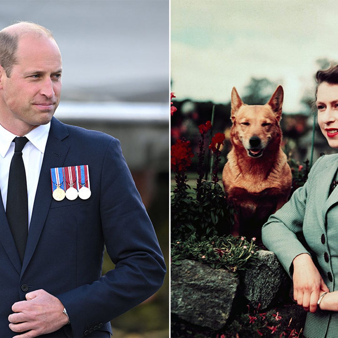 The Prince of Wales gives royal fans much-anticipated update on the Queen's corgis