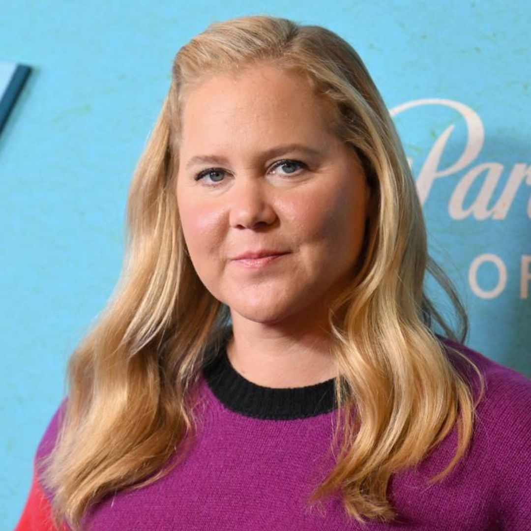 Amy Schumer opens up about 'brutal' separation from husband Chris Fischer and son Gene - details