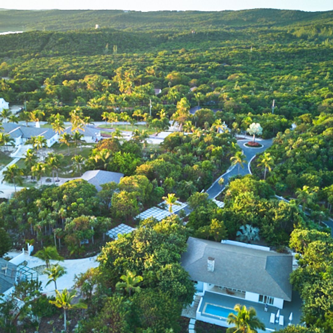 aerial shot of luxury villa among forests of bahamas