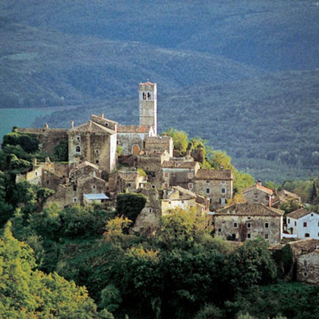 Autumn is truffle-time in Istria