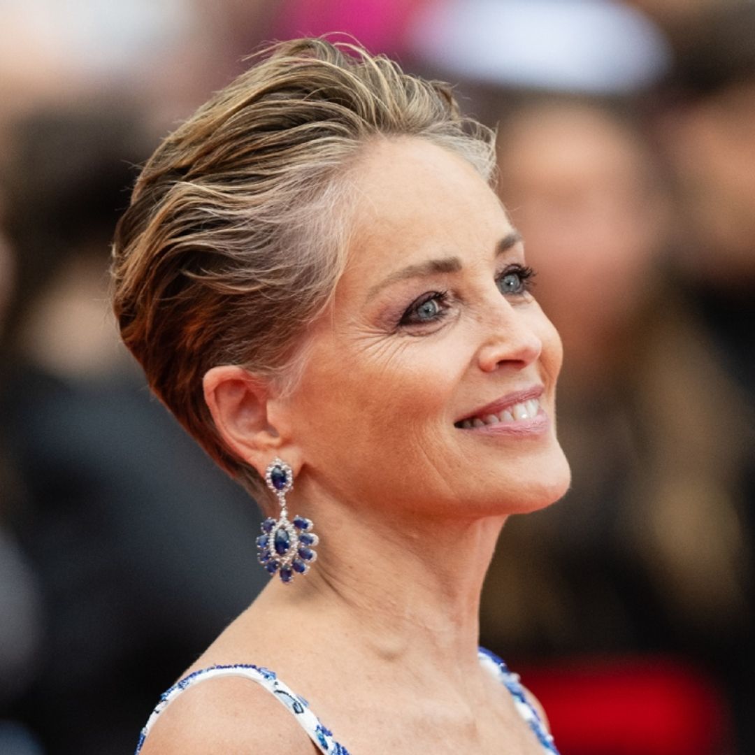 Sharon Stone steals the show at Cannes in patterned gown with surprise reveal