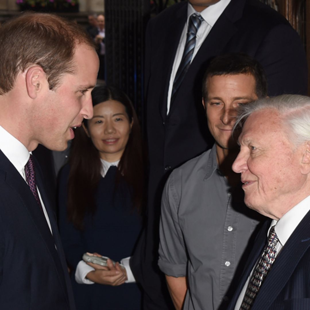 Prince William to meet Sir David Attenborough while pregnant Kate recovers at home