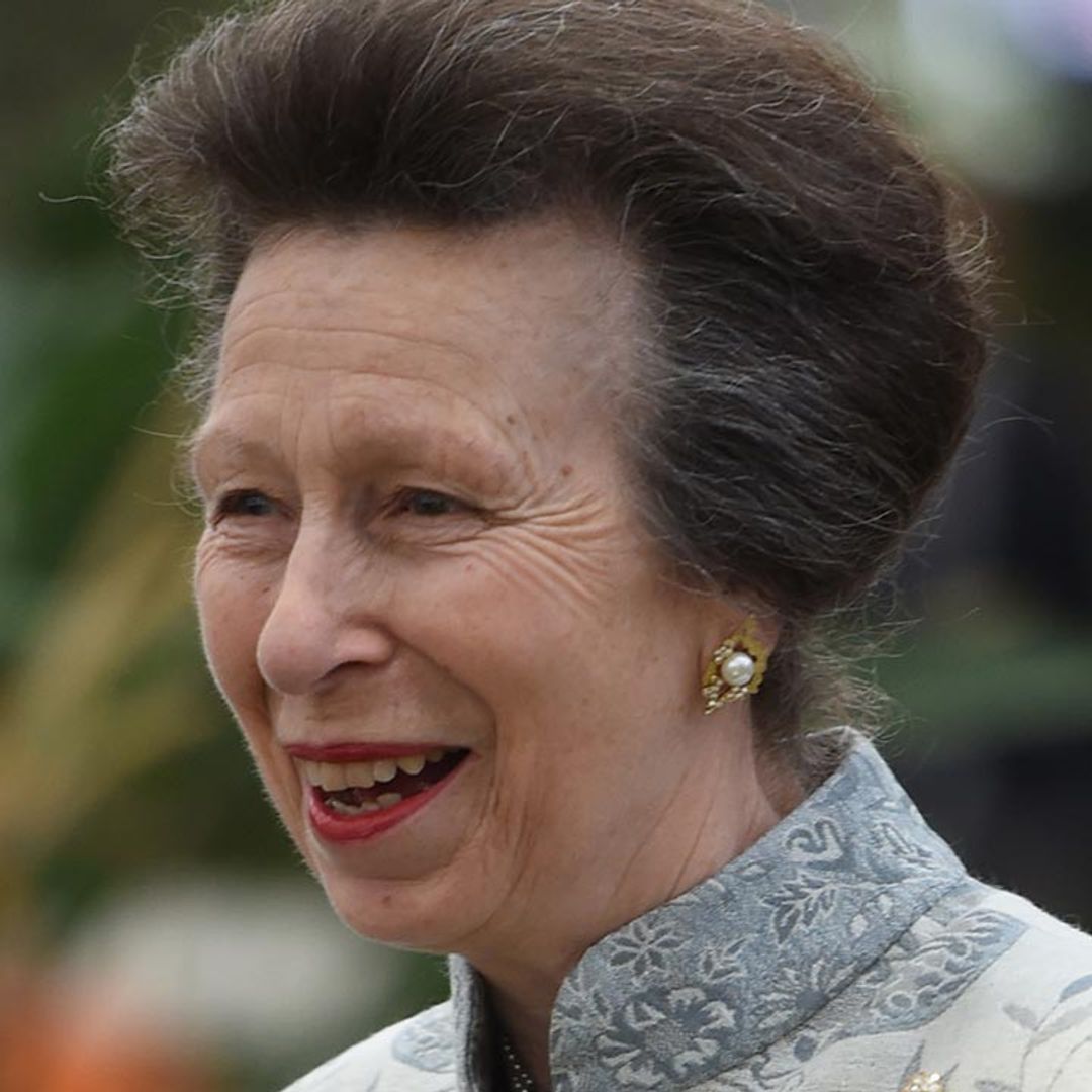 Princess Anne beams as she poses in camouflage for new outing