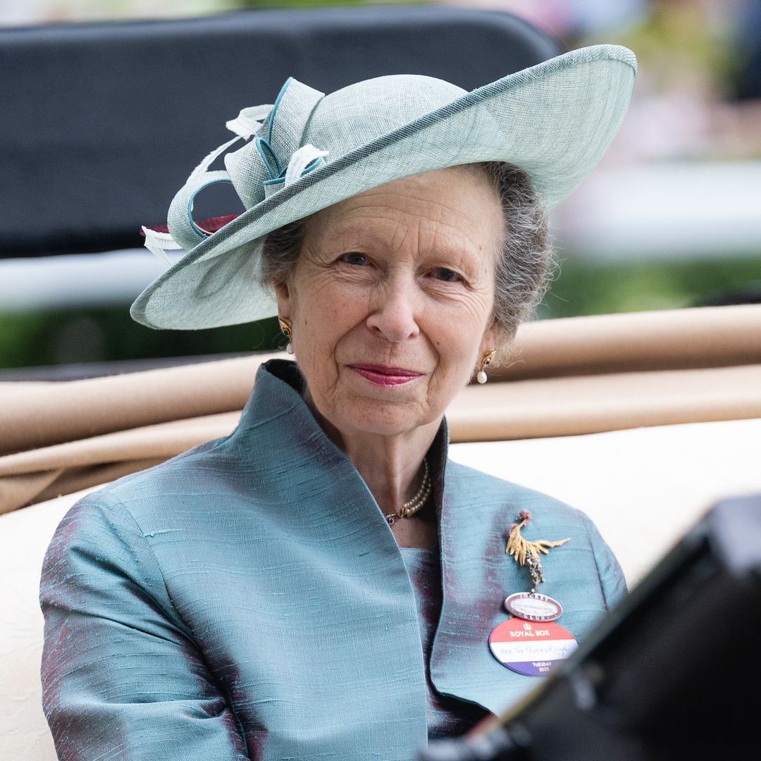 Princess Anne re-wears special gift from King Charles as she steps in amid royal hospitalisations