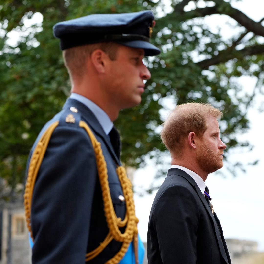 Prince Harry and Prince William’s rift caused by this 3-letter word