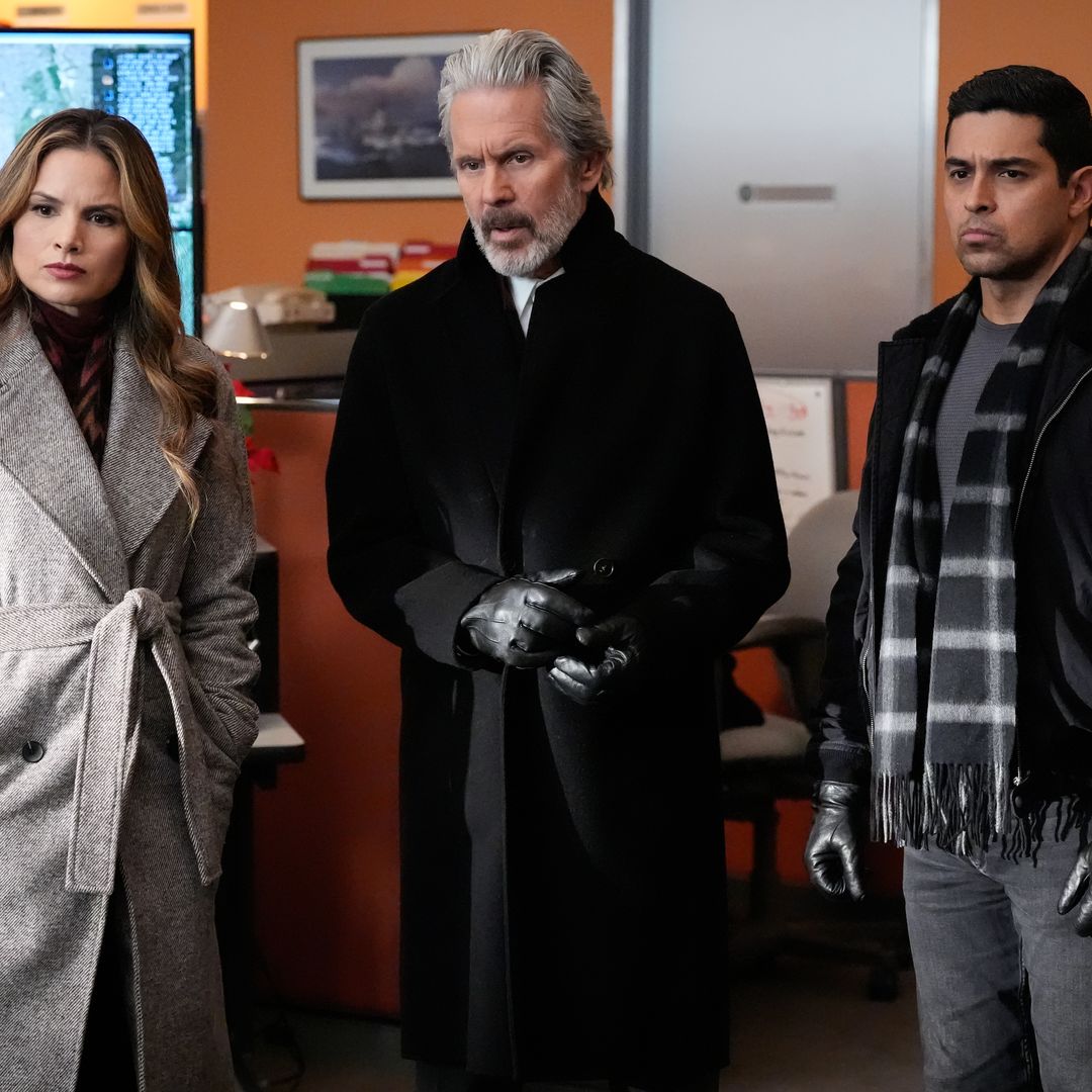 NCIS star files for divorce after 12 years of marriage – report