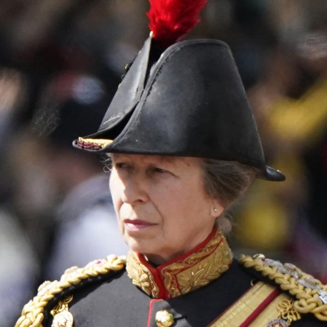 Princess Anne presents N.L. regiment with new colours