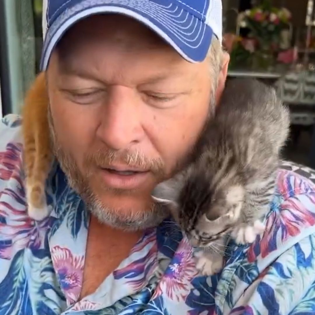 Two kittens on Blake Shelton's shoulders