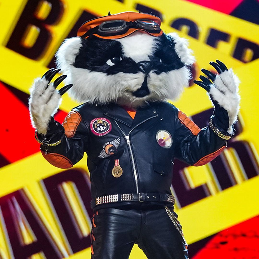 The Masked Singer: Fans convinced they've worked out Badger