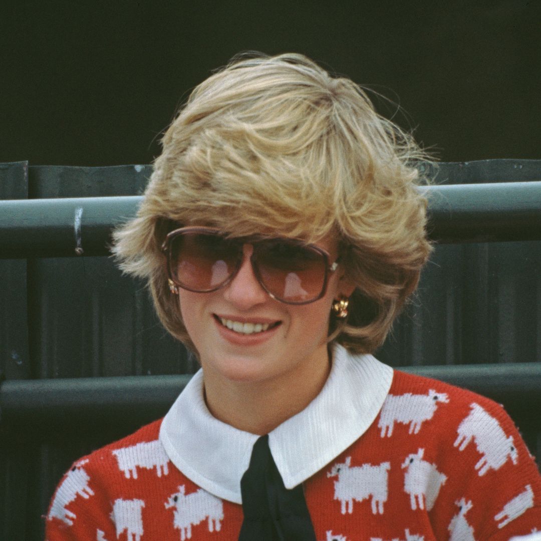 Princess Diana's iconic 'black sheep' jumper breaks records as it sells for more than $1 million