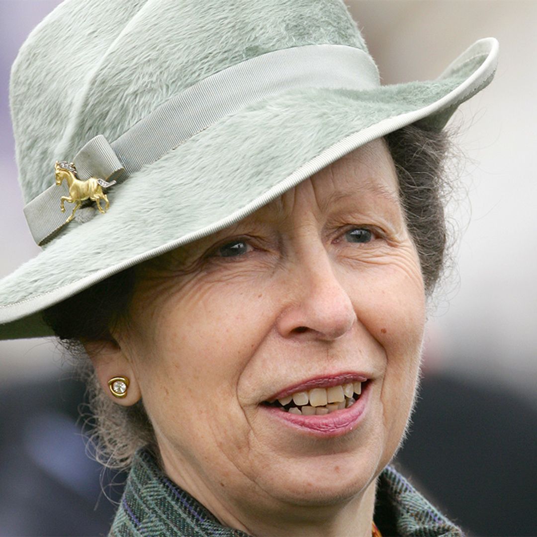 The reason why Princess Anne doesn't shake hands with the public