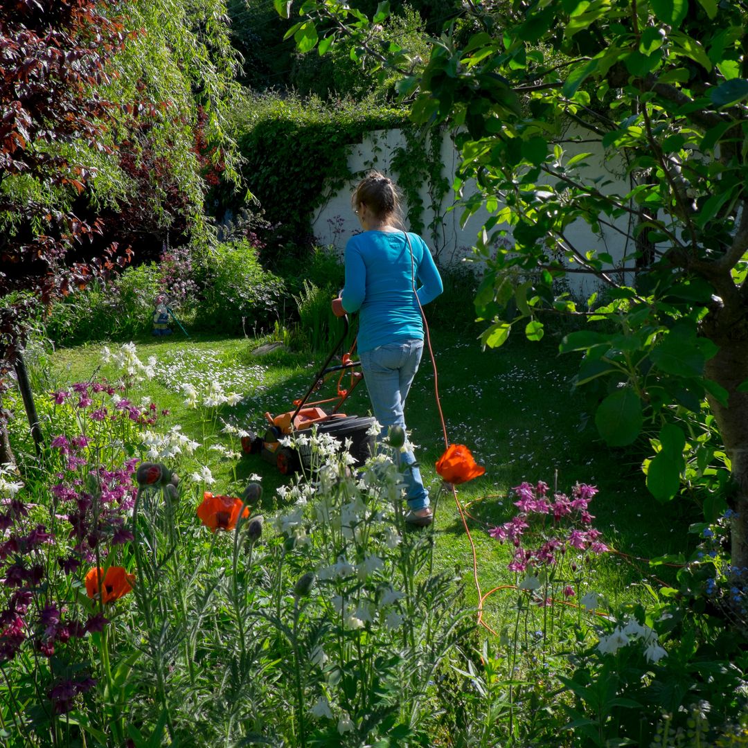 'No Mow' May is over - gardeners urged to follow surprising rules for the perfect lawn in June