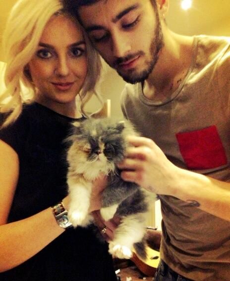 Little Mixs Perrie Edwards And One Directions Zayn Malik Start Planning Their Wedding Hello 