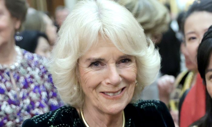 Queen Consort Camilla steps out in luxe gown from wedding dress designer – did you notice?