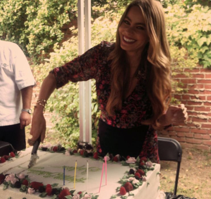 Sofia Vergara celebrates her 41st birthday | HELLO!