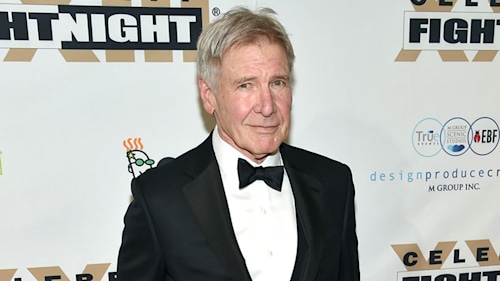 Harrison Ford to keep pilot's licence after landing error