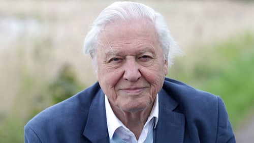 Everything you need to know about Sir David Attenborough