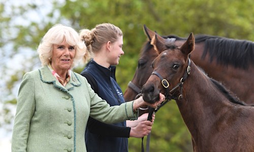 Celebrity Daily Edit: Camilla re-opens the Royal Stud, Princess Charlotte turns 4 - video