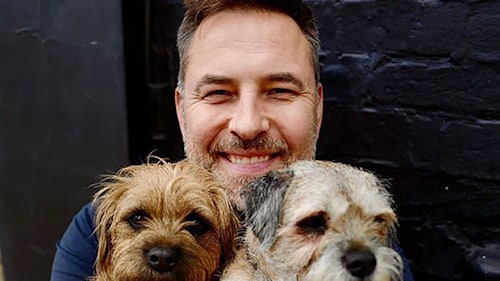 David Walliams has the best reaction after reuniting with his mum as lockdown measures ease