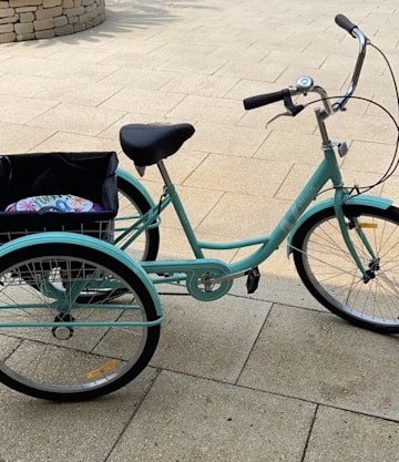 simon-cowell-bike-howie-mandell