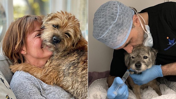 lorraine-kelly-noel-fitzpatrick