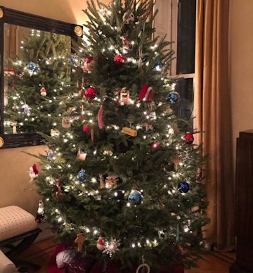 Today's Al Roker unveils jaw-dropping Christmas tree inside family home ...