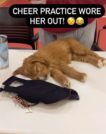 monica-aldama-new-puppy-sleeping