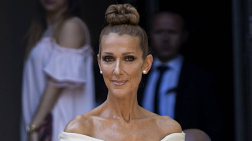 Celine Dion stuns in a figure-hugging catsuit for epic throwback video