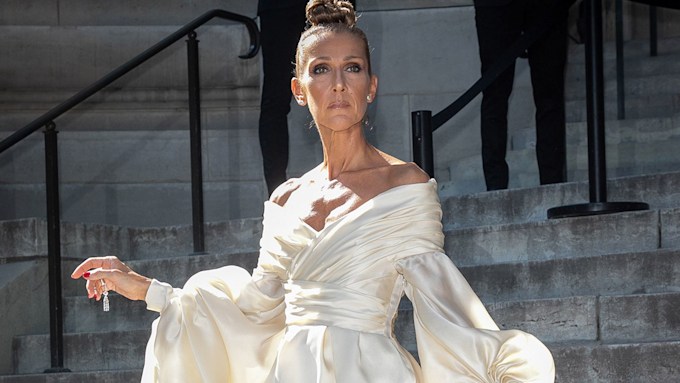 Celine Dion announces exciting news fans have been waiting for ...