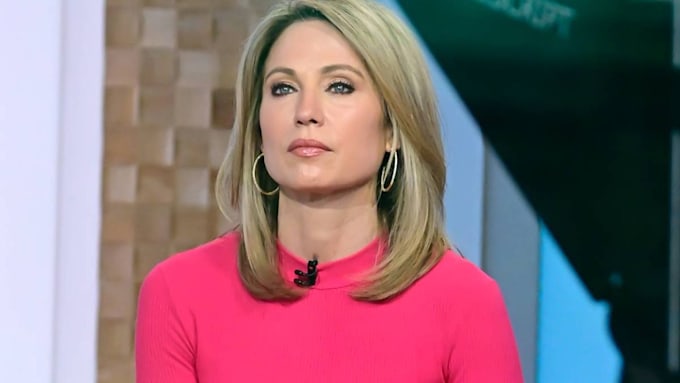 GMA's Amy Robach details personal struggle in rare family interview ...