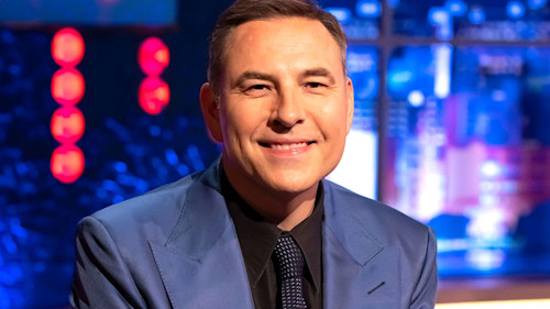David Walliams delights fans as he declares – 'I'm in love'