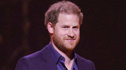 Prince Harry is all smiles as he hangs out with Rebel Wilson