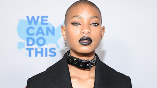 Willow Smith divides fans with unfiltered new selfie