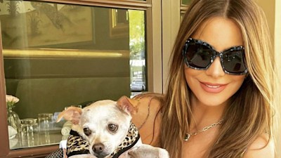 Sofia Vergara wows in incredible bejewelled corset