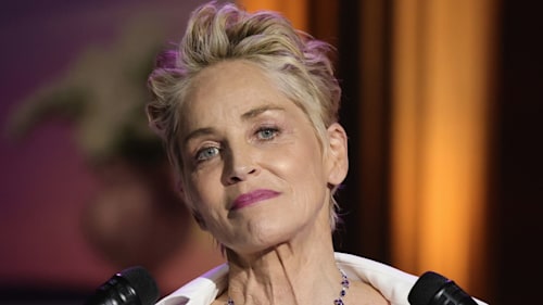 sharon stone hair 2022