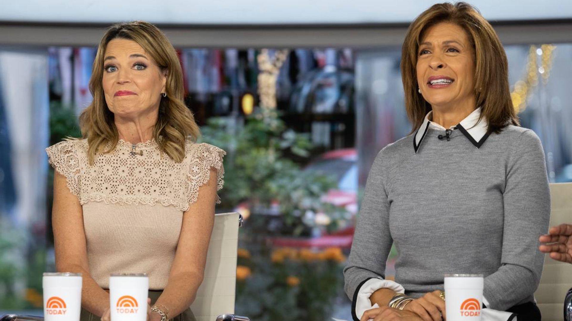 Today's Savannah Guthrie reveals painful struggle during live show