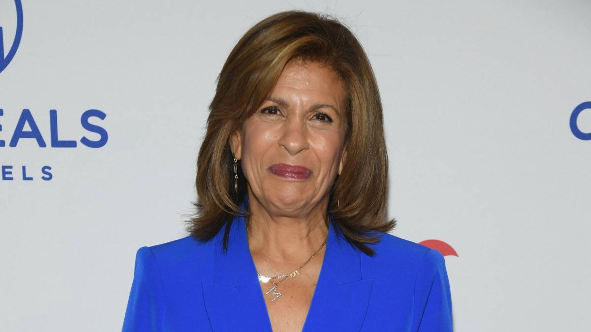 Today's Hoda Kotb makes uncharacteristic social media posts for ...