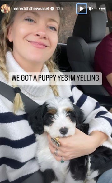 goldie hawn daughter in law meredith hagner with new puppy