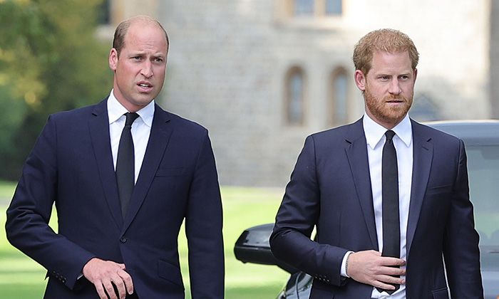 Prince Harry 'declares his love' for Prince William in moving moment from memoir