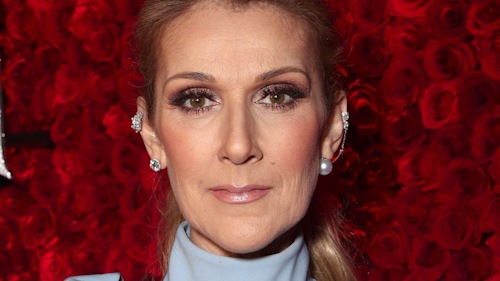 Celine Dion's fan wish her well as she returns to social media for special reason