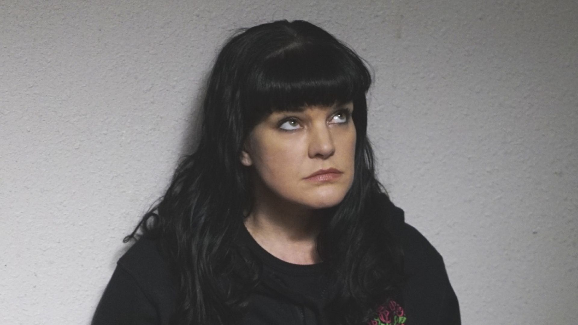 NCIS' Pauley Perrette supported by former costars after tragic family