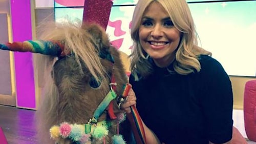 Holly Willoughby's early birthday surprise involved unicorns and tequila shots!