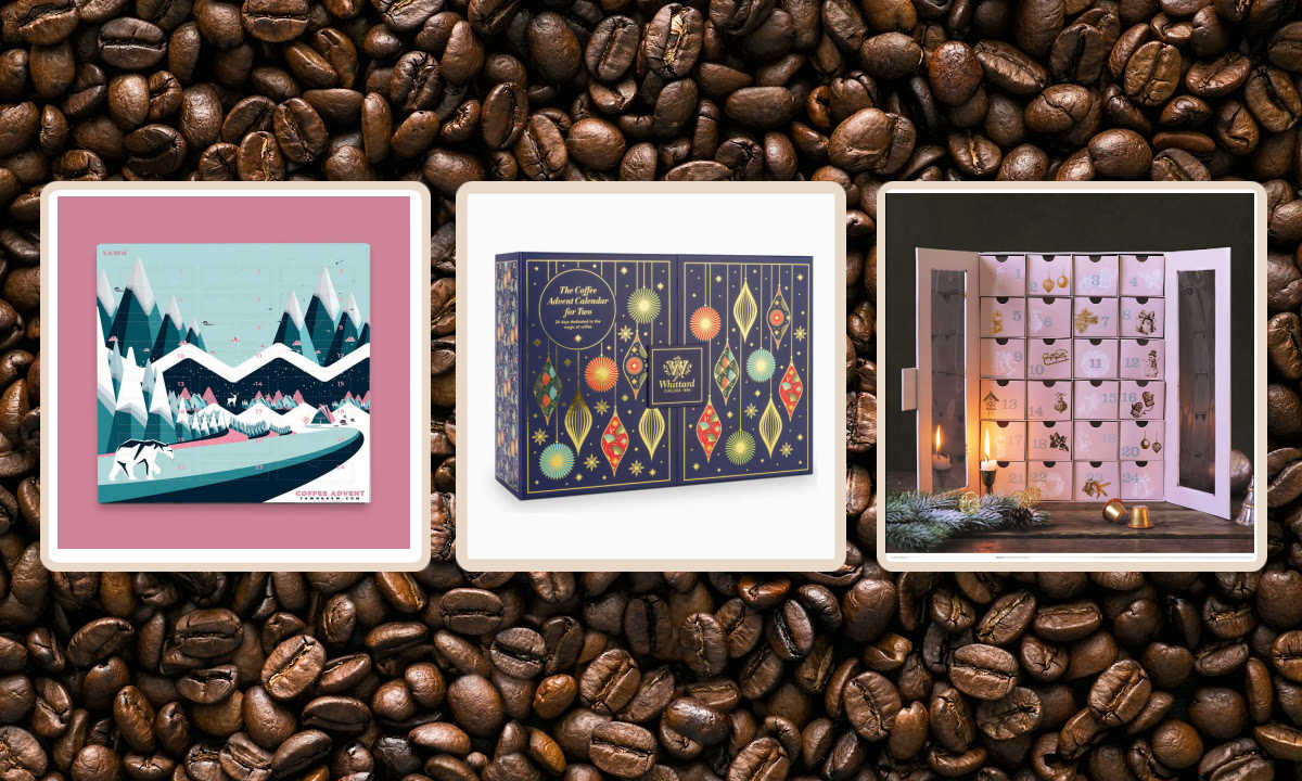 Top 10+ coffee advent calendar 2021 1 12 best coffee advent calendars for the caffeine lover in your life